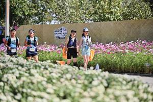 BIB: 
                            <button type="button" onclick="openModal(27792963)" class="btn btn-primary btn-sm float-right btn-popup" data-toggle="modal" data-target=".modal-high-quality">
                        <i class="fas fa-shopping-cart"></i> Add to Cart
                    </button>
                                            <button type="button" onclick="isThisMe(27792963, true)" class="btn btn-success btn-sm float-right btn-popup btn-isme hidden" data-toggle="tooltip" data-placement="bottom" title="นี่คือรูปของคุณใช่ไหม คลิกที่นี่เพื่อเอาเข้าอัลบั้ม">
                        <i class="fas fa-plus"></i> Add to album
                    </button>
                    <button type="button" onclick="isThisMe(27792963, false)" class="btn btn-warning btn-sm float-right btn-popup btn-isnotme hidden">
                        <i class="fas fa-ban"></i> Remove from album
                    </button>